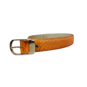 CORREA DAMA LISA 3.0 CMS - Image 1