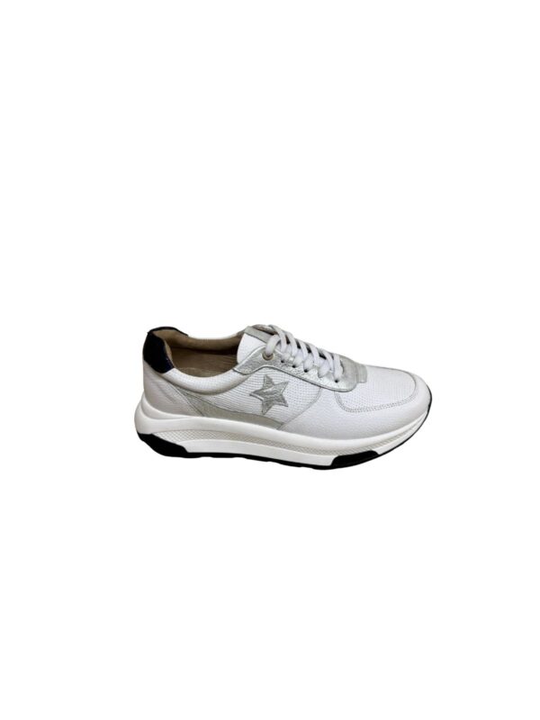 SD88BLANCO